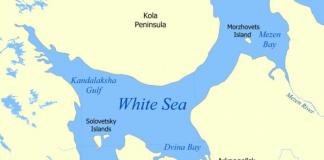 Физико-географическая характеристика белого моря Областной центр у белого моря